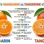 difference between mandarin and tangerine